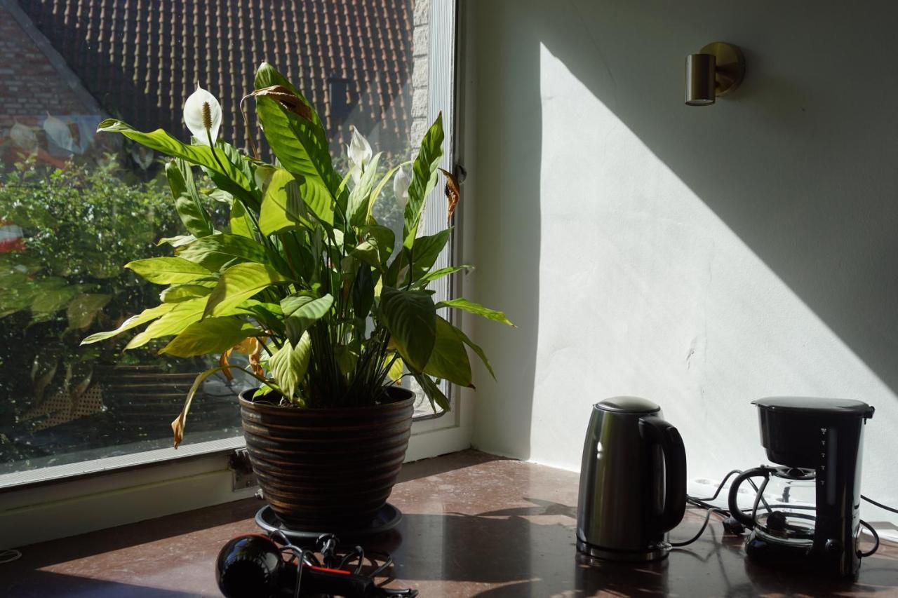Appartement Brabo2 à Landskrone Extérieur photo